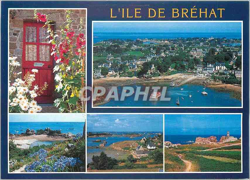 CPM Ile de Brehat (Cotes d'Armor) L'Ile des fleurs et des rochers roses