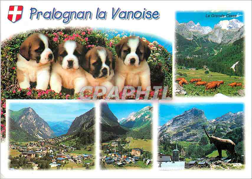 CPM En Tarentaise Savoie Pralognan la Vanoise (alt 1410 m) regards sur la station au coeur de l'ete 