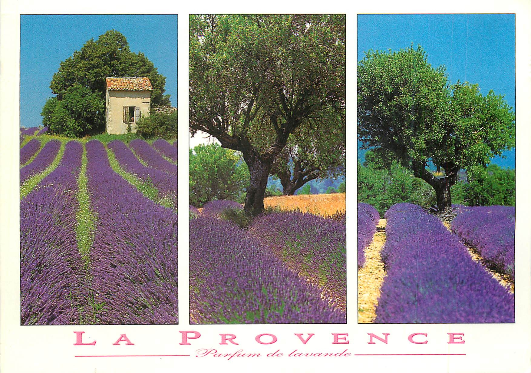 CPM Images de Provence
