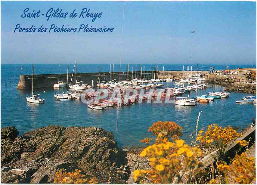 CPM Saint Gildas de Rhuys Le port de plaisance