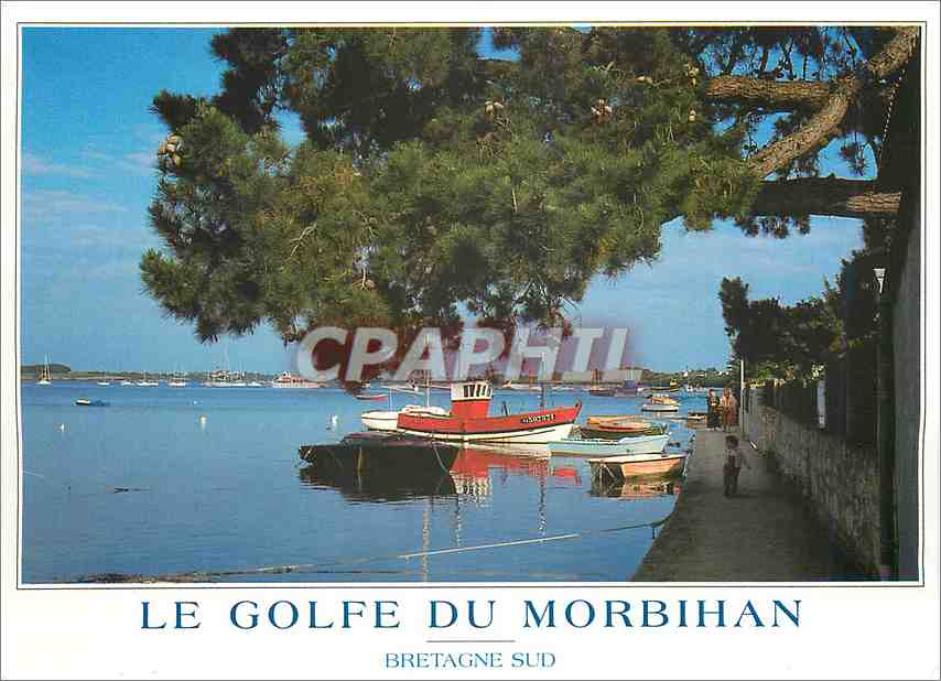 CPM Le Golfe du Morbihan Bretagne sud les rives du Golfe du Morbihan