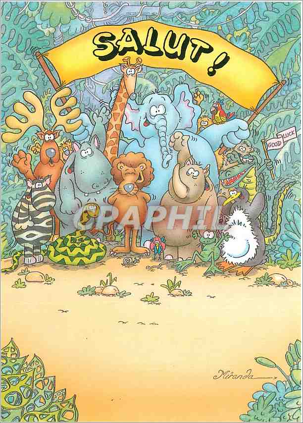 CPM Salut Elpehant Hippopotame Crocodile Renne Grenouille