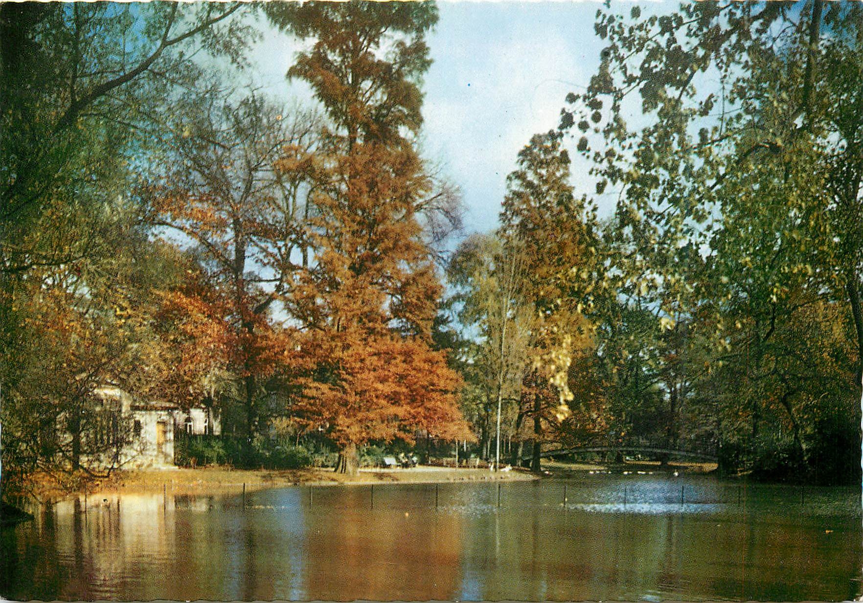 CPM Bordeaux La Riviee du Jardin Public