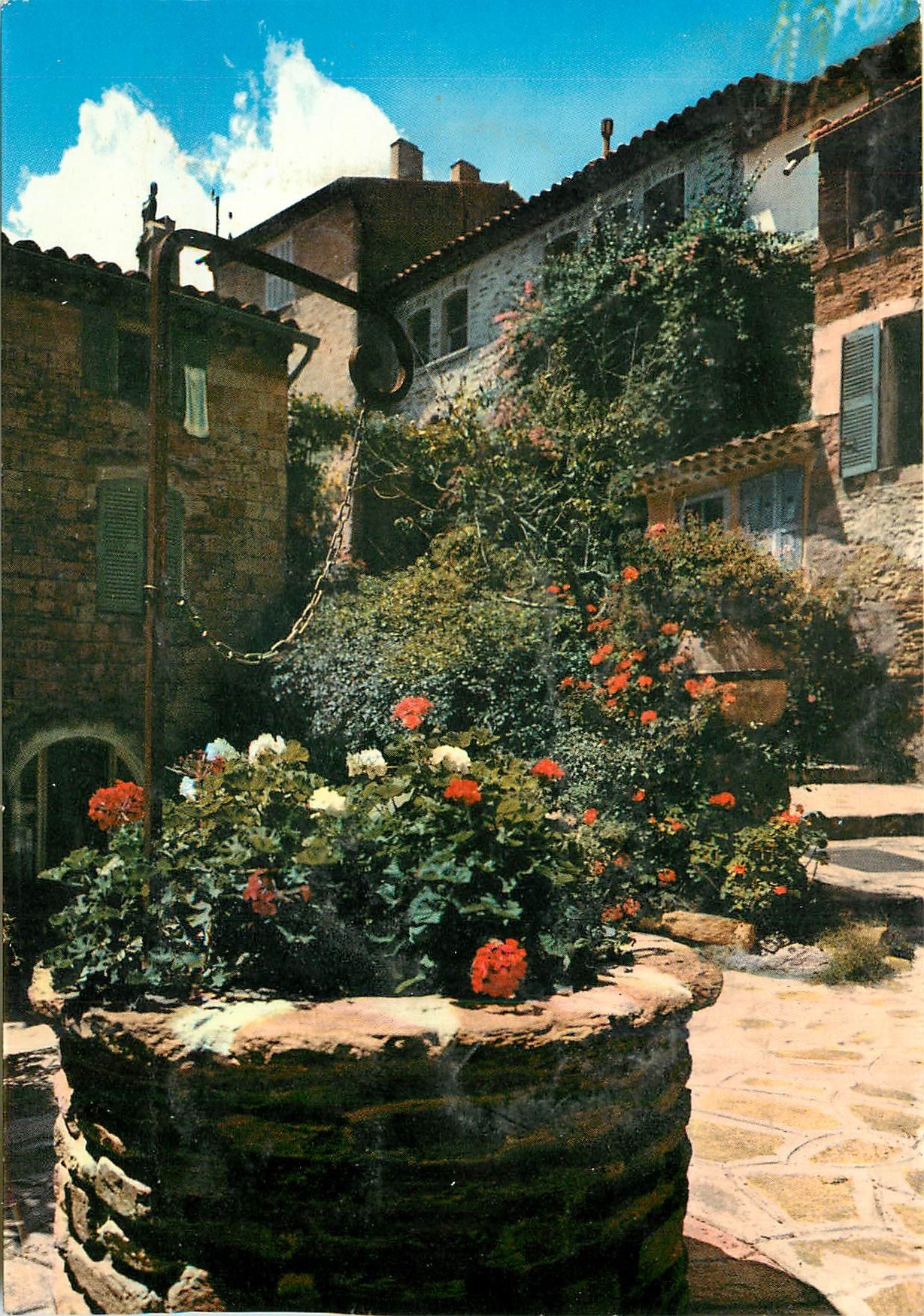 CPM Bormes les Mimosas (Var) Vieux puits fleuri