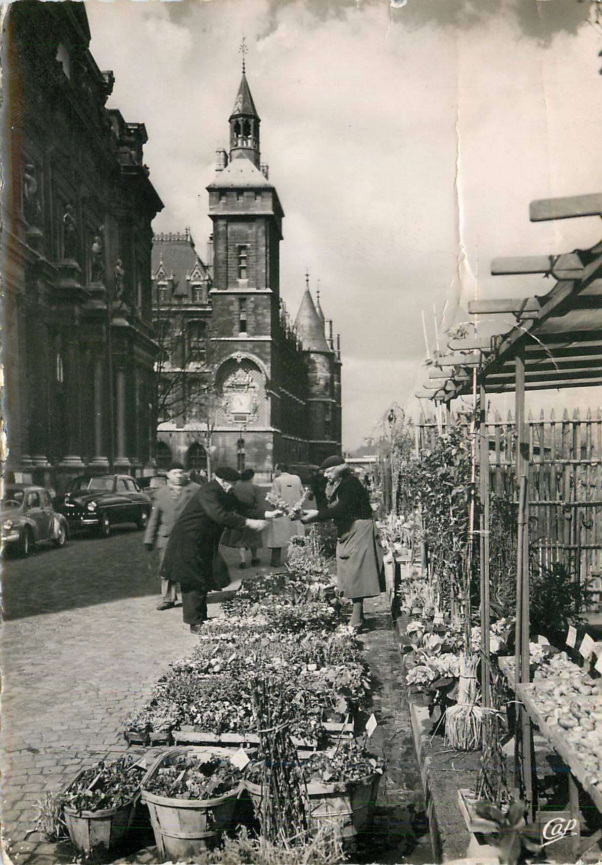 CPM Paris Le marche aux fleurs