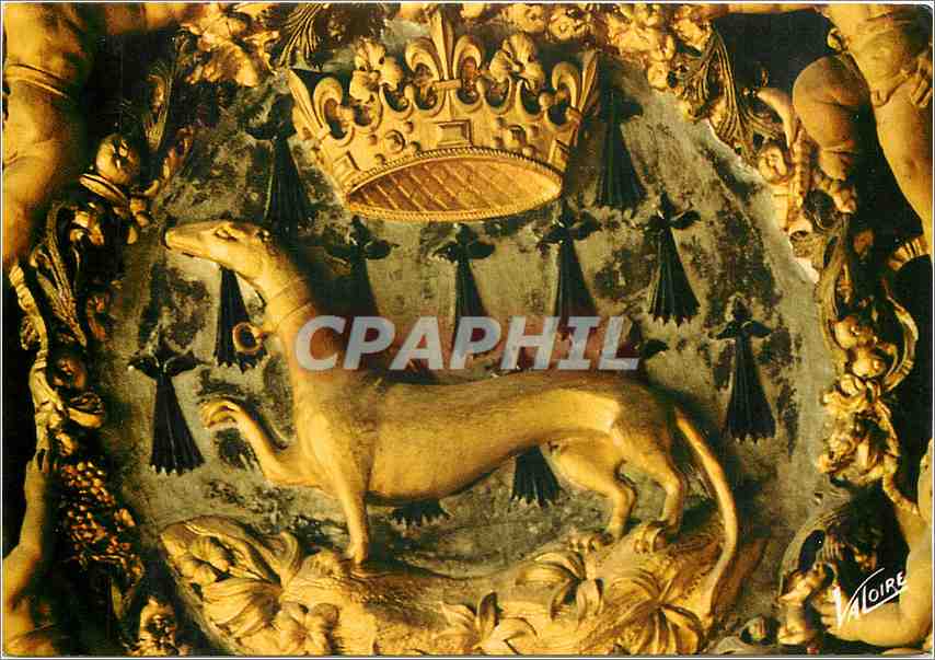 CPM Blois (Loir et Cher) Le Chateau L'hermine embleme la reine Anne de Bretagne