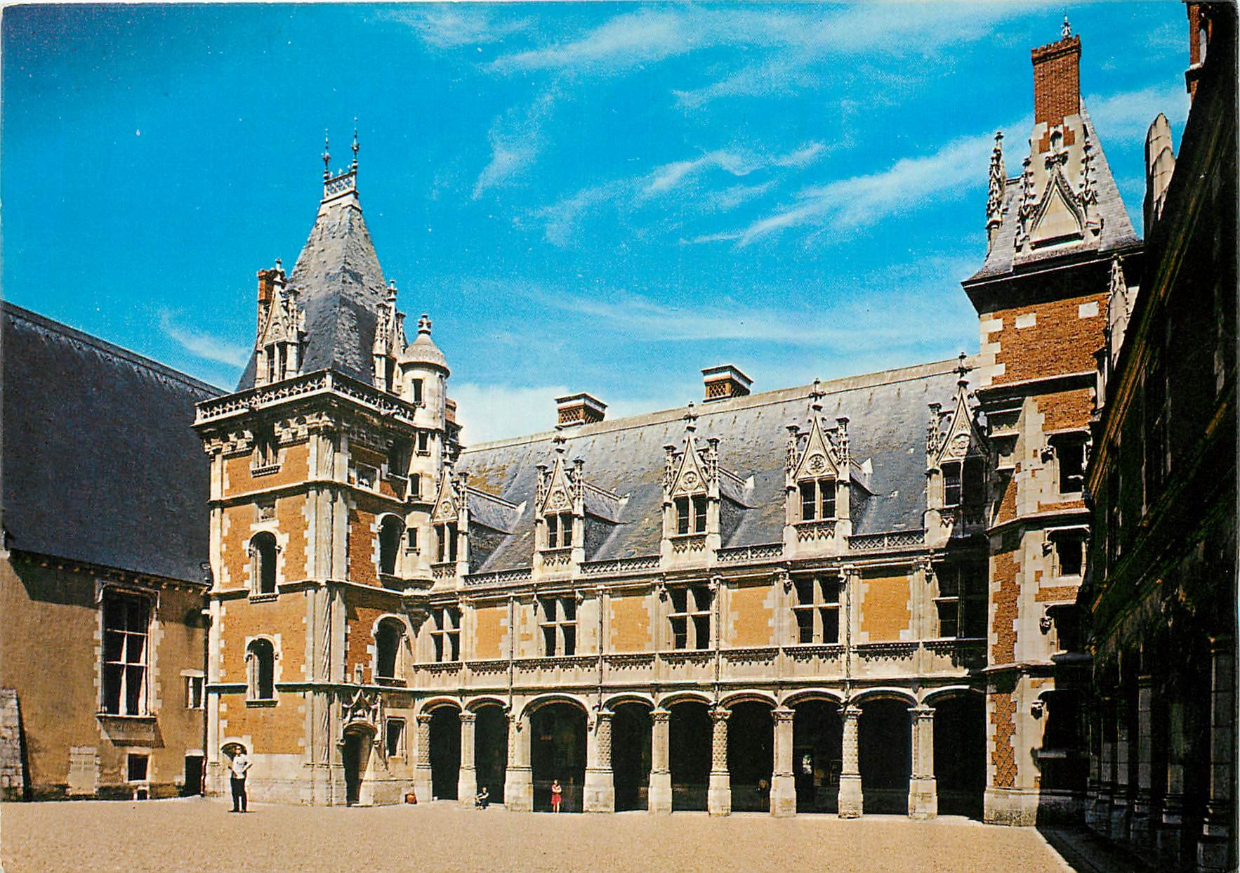 CPM Blois (Loir et Cher) Chateau L'Aile Louis II