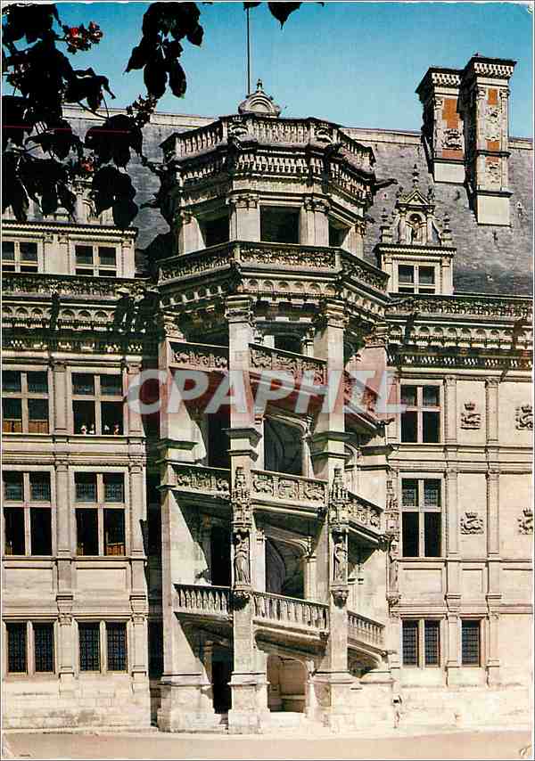 CPM Blois (Loir et Cher) Le grand Escalier