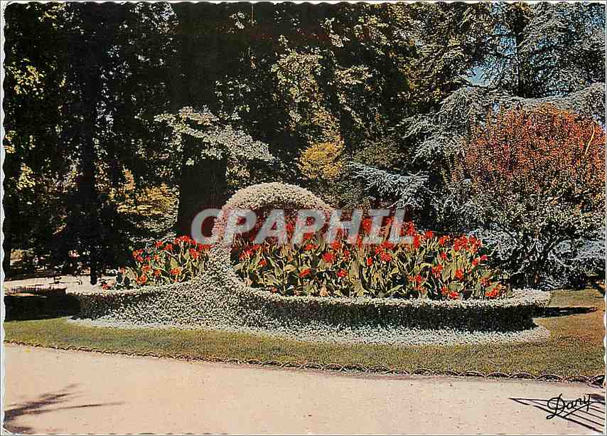 CPM Bordeaux Le jardin Public Le panier Fleuri