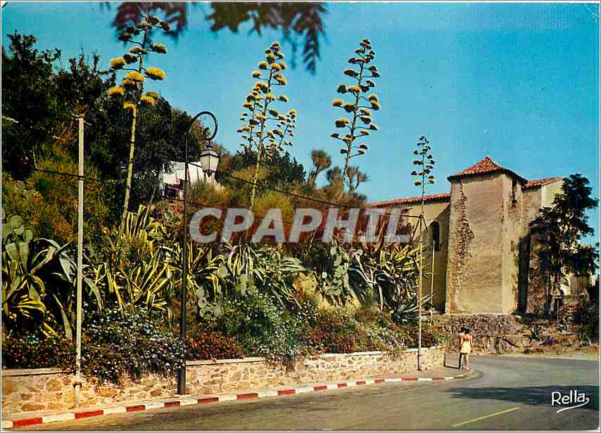 CPM La Cote des Maures Bormes les Mimosas (Var) Chapelle Saint Francois de Paule