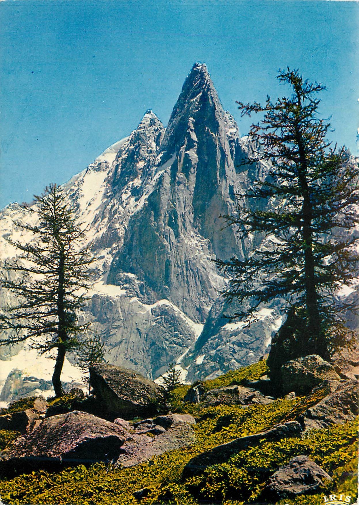 CPM Chamonix Mont Blanc Les Drus et l'aiguille Verte depuis le Montenvers