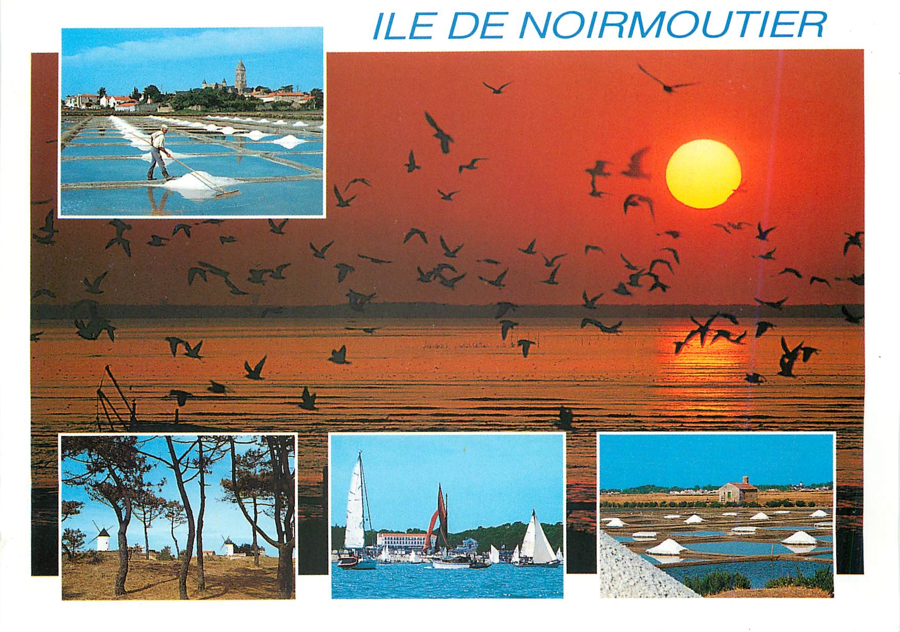 CPM Ile de Noirmoutier Vendee L'Ile aux mimosas reliee au continent par une route submersible