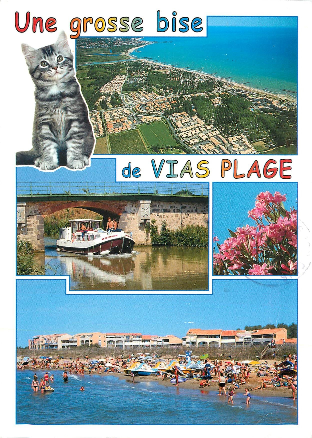 CPM Une grosse bise de Vias Plage Chat