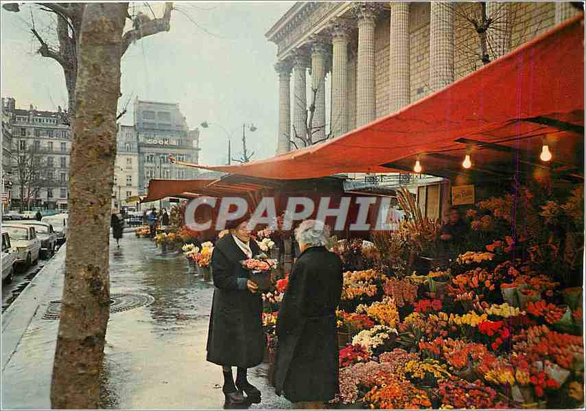 CPM Paris Le Marche aux fleurs de la Place de La Madeleine 