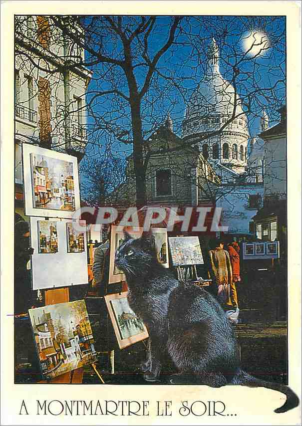 CPM Paris et ses Merveilles La Place du Tertre l'Eglise Saint Pierre la Basilique du Sacre Coeur 