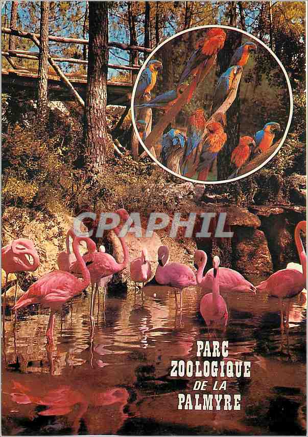CPM Parc Zoologique de la Palmyre 