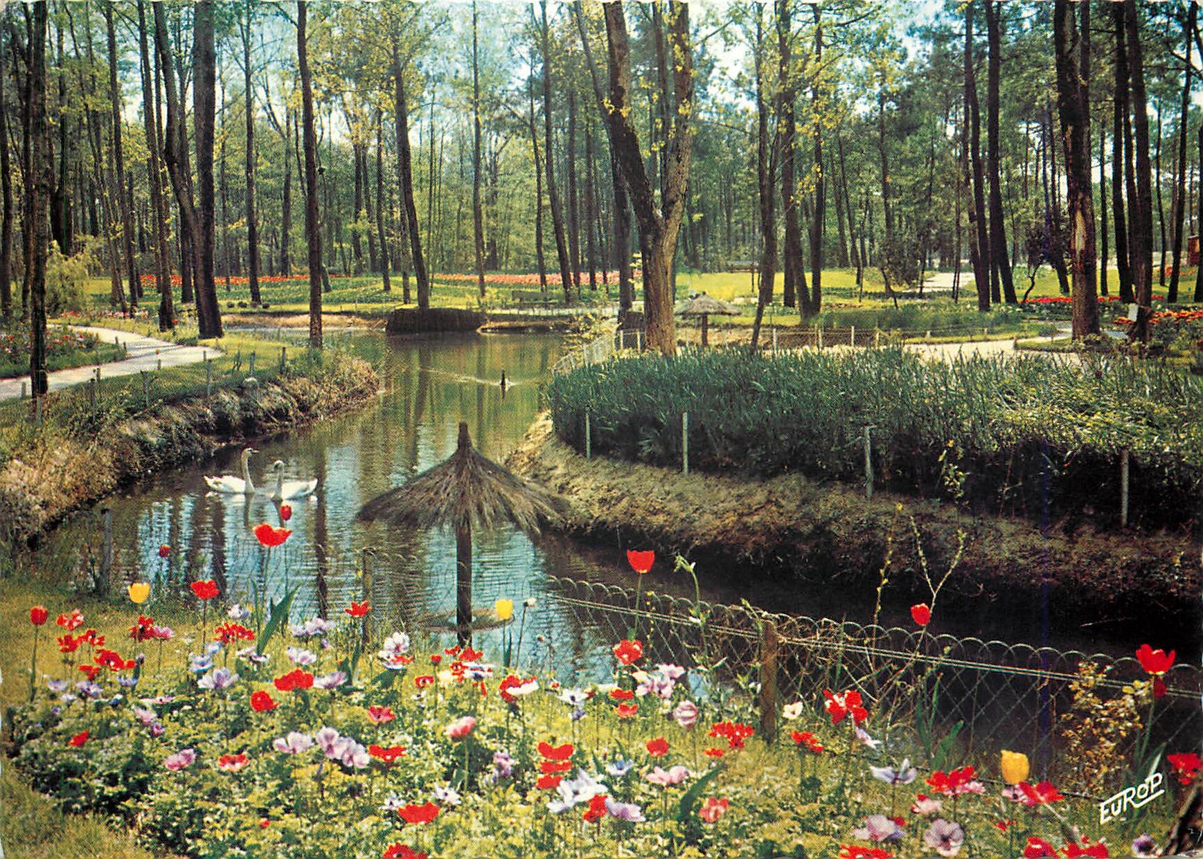 CPM Cote de Beaute La Palmyre Le Clapet Les Floralies en Foret 