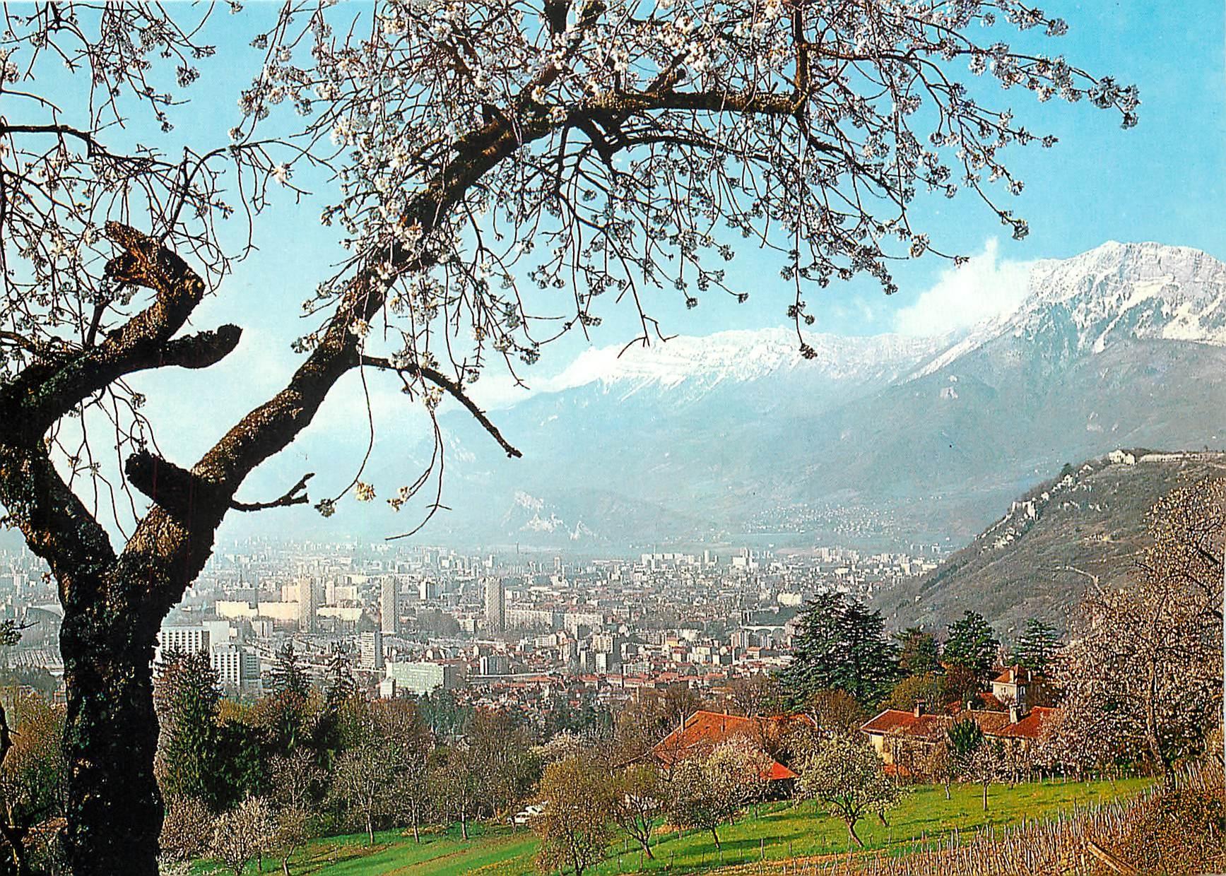 CPM Grenoble au printemps Vue sur la ville et le Vercors 
