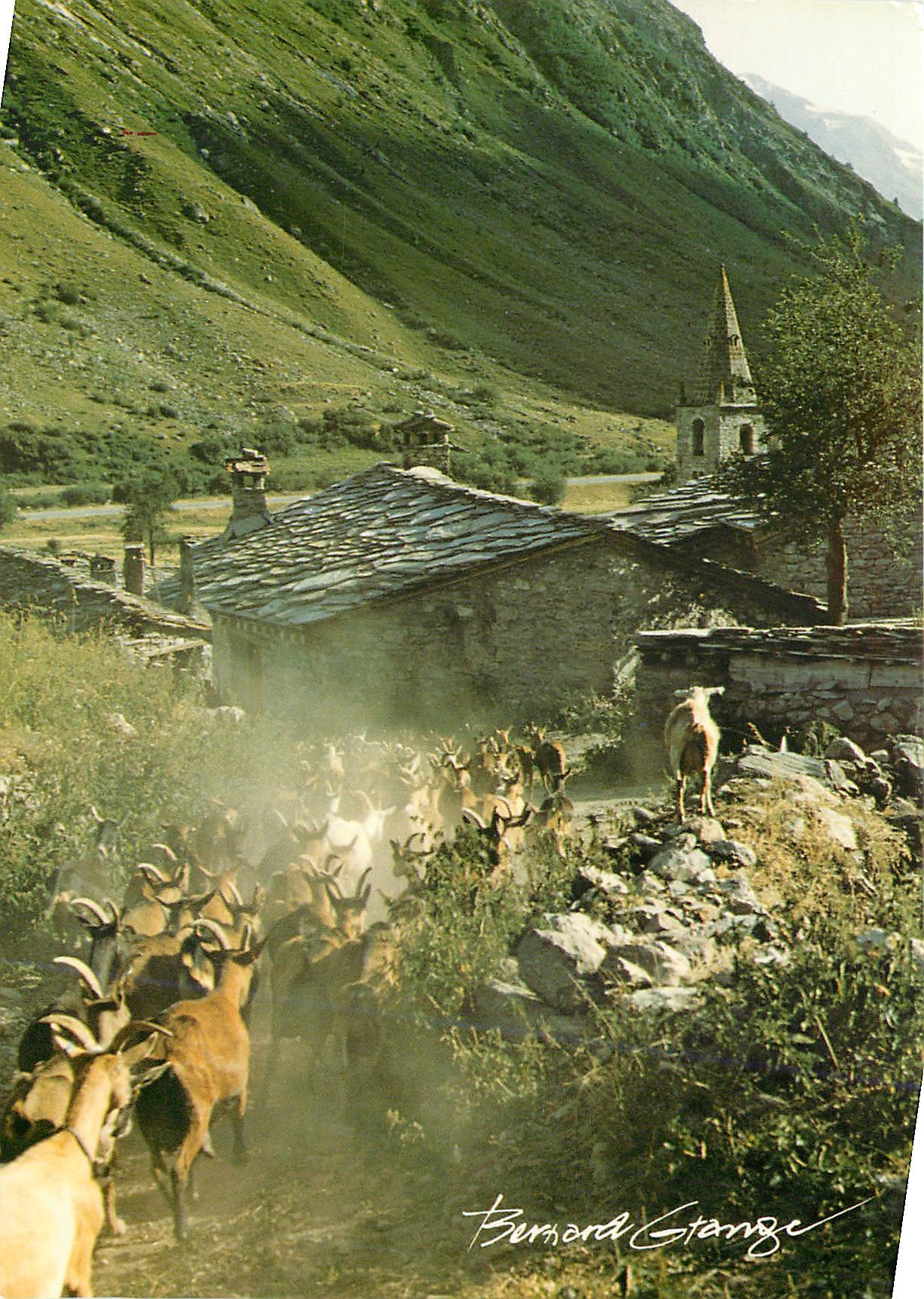 CPM La Montagne par B Grange Chevres