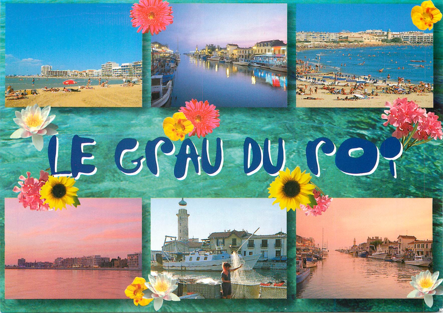 CPM Porte de la Camargue Le Grau du Roi 
