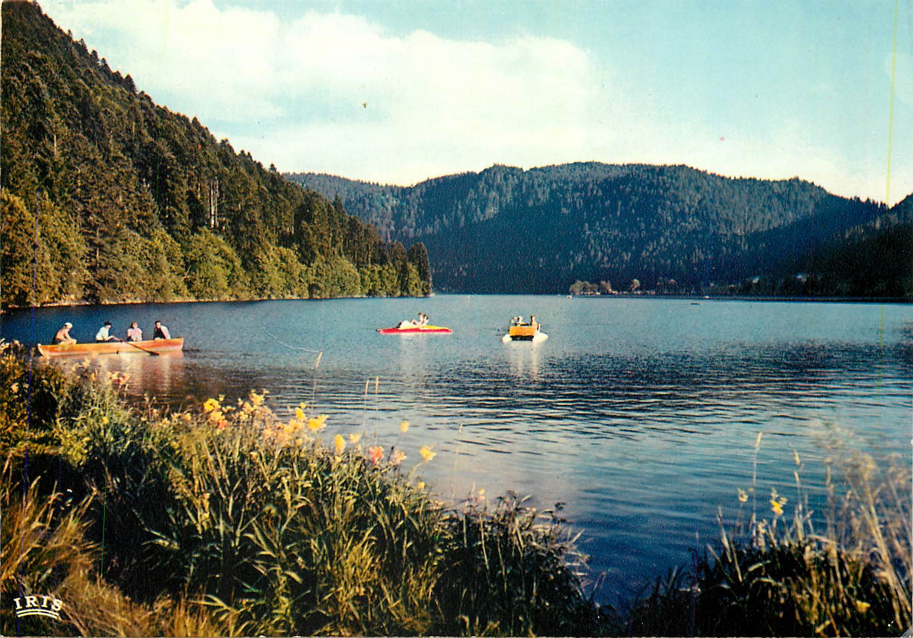 CPM Les Vosges Pittoresques Le Lac de Longemer 