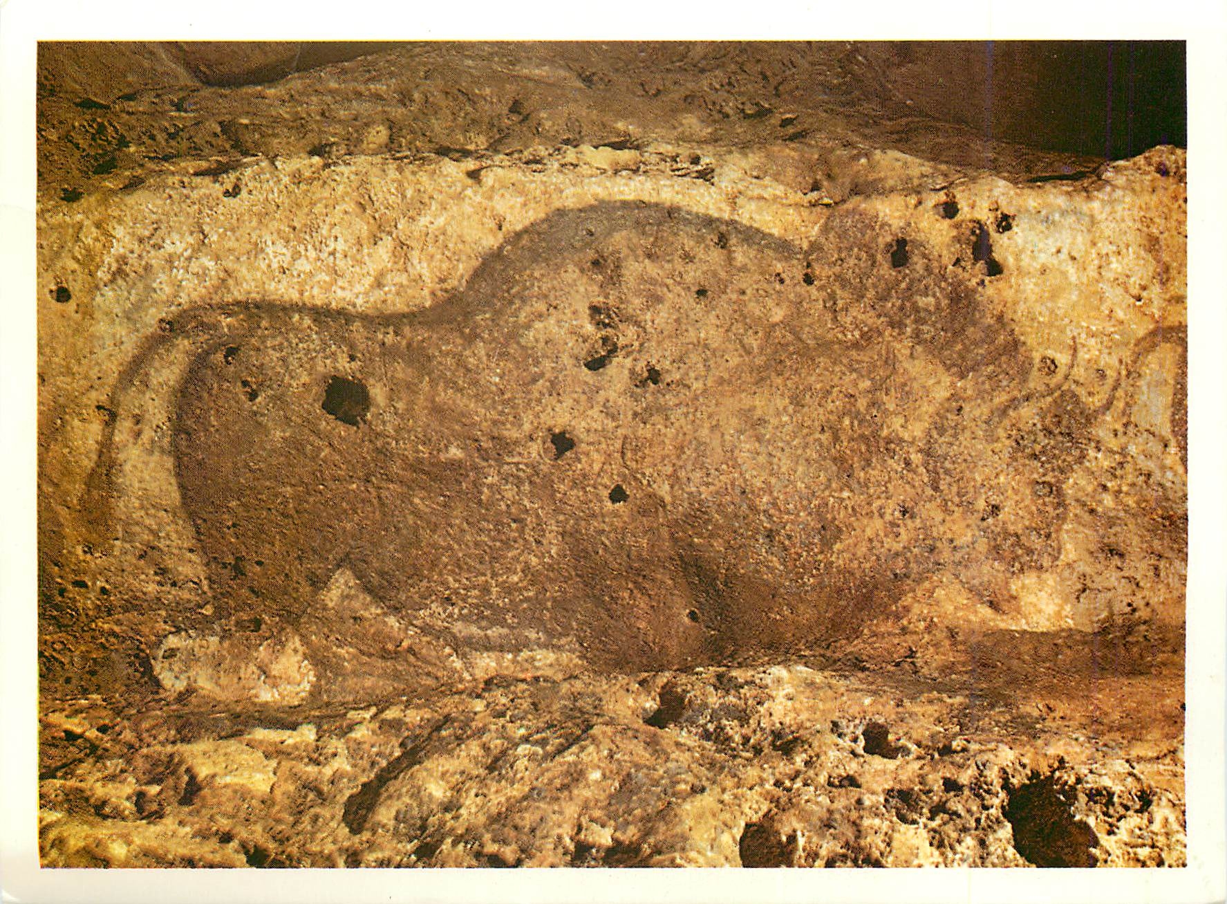Grotte de Font-de-Gaume en Périgord — gravure de bison — éditeur Pierre Fanlac