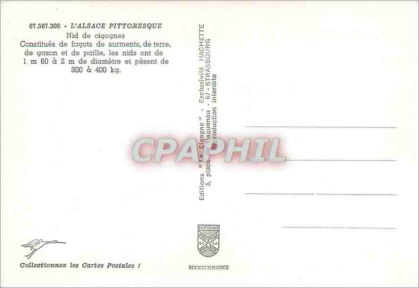 CPM L'Alsace Pittoresque Nid de Cigognes  — Rückseite