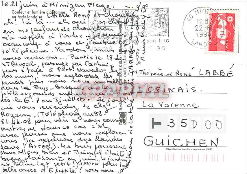 CPM Couleur et Lumiere d'Automne en foret landaise  — Back