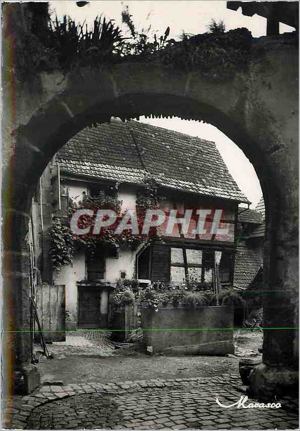 CPM Riquewhir Alsace La Cour des Juifs 