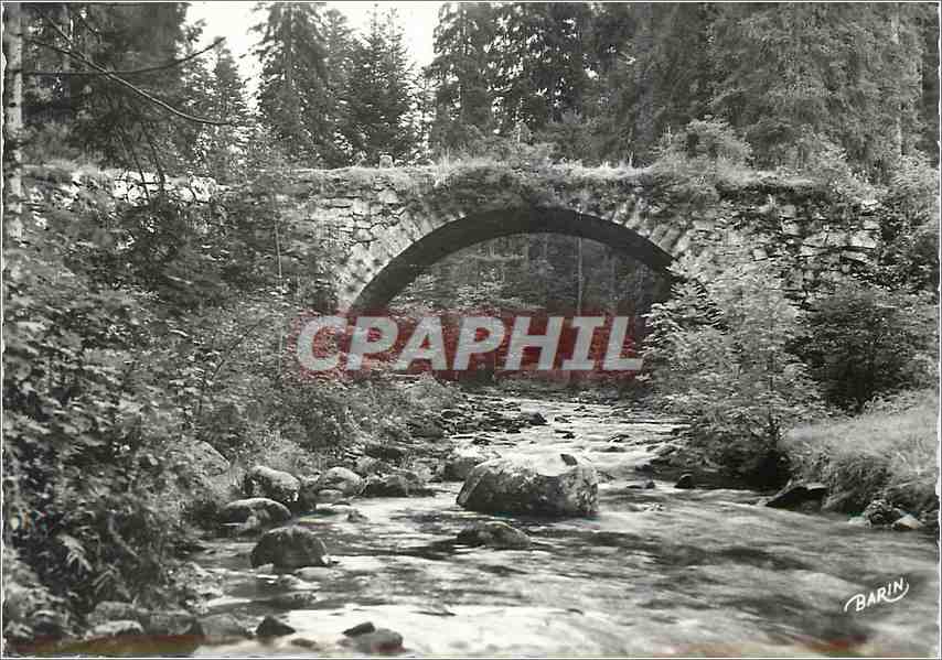 CPM Gerardmer Le Pont des Fees sur la Vologne 