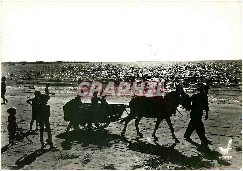 CPM Loire Atlantique Silhouettes de Plage Ane Mule