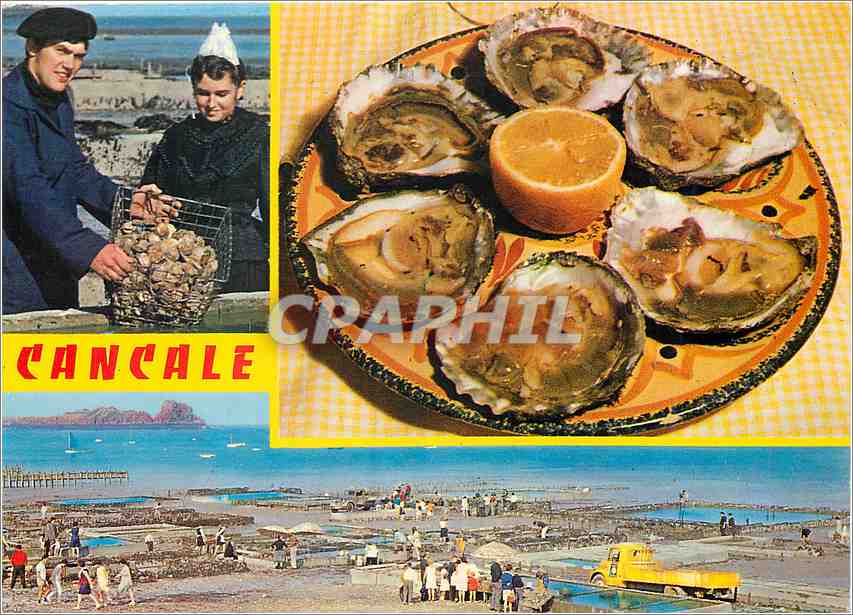 CPM Cancale ses Huitres 