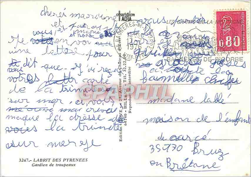 CPM Labrit des Pyrenees Gardien de Troupeaux  — Rückseite