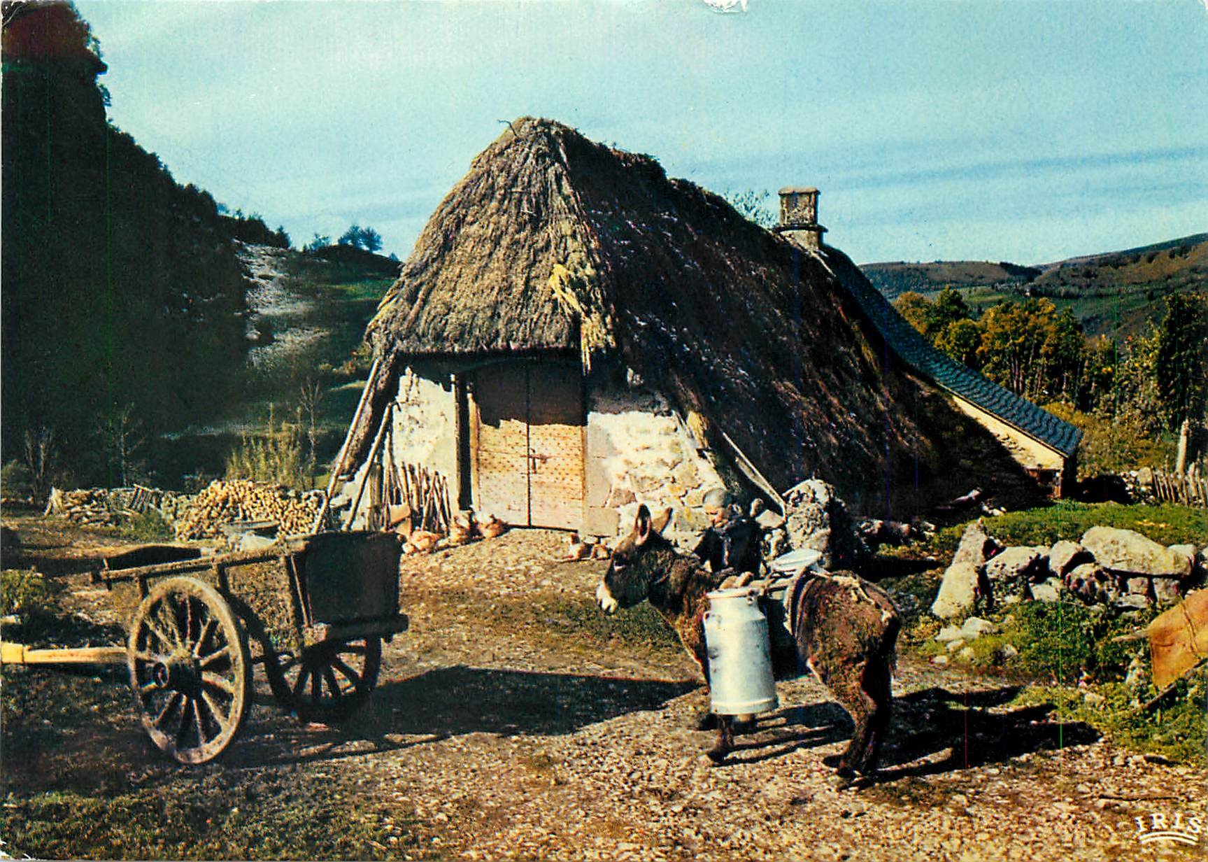 CPM En Auvergne Vieux buron au toit de chaume Ane Mule Folklore