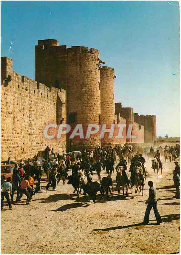 Marché à Aigues-Mortes — 'La Ville de Saint-Louis' — Édition Magenta