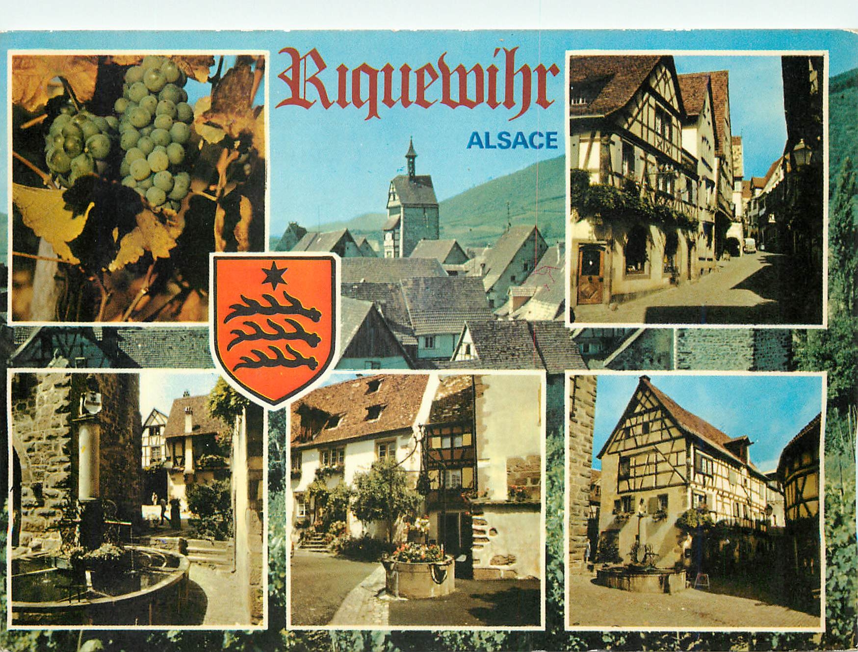 CPM Riquewihr Alsace 