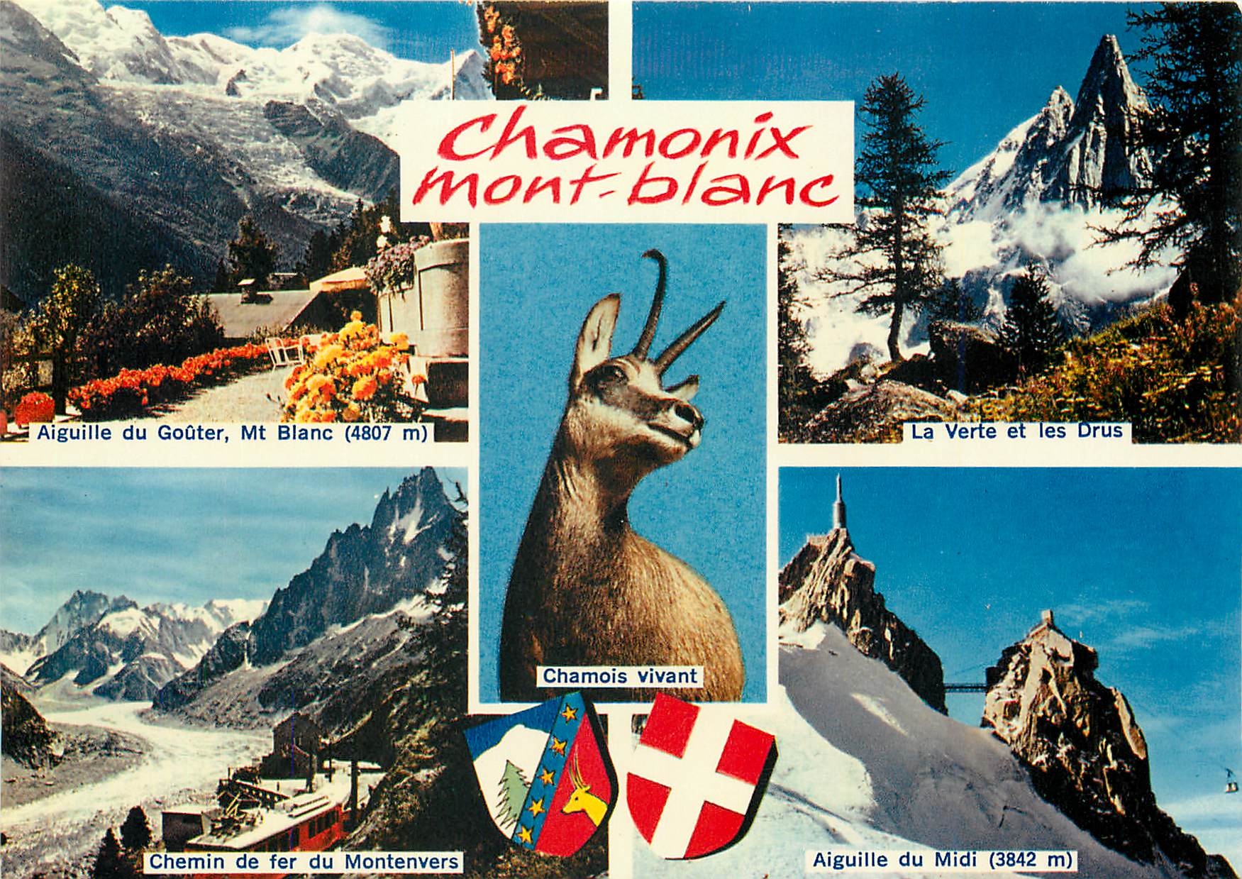 CPM Chamonix Mont Blanc Chamois vivant Chemin de fer de Montenvers
