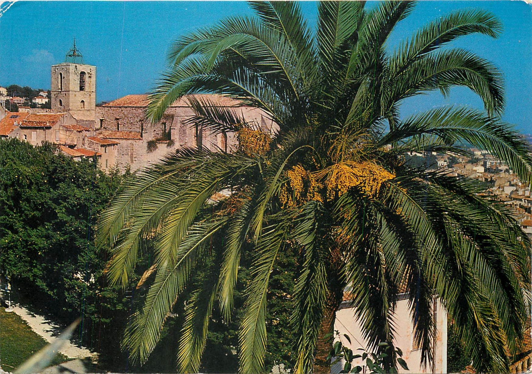 CPM Cote Varoise Hyeres les Palmiers L'Eglise Saint Paul ancienne collegiale 