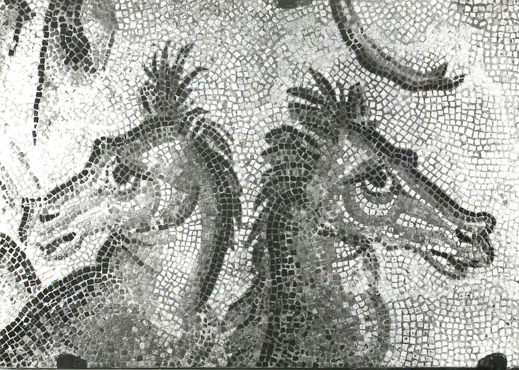 Autun - Musée Rolin — Les chevaux marins — mosaïque romaine trouvée à Autun