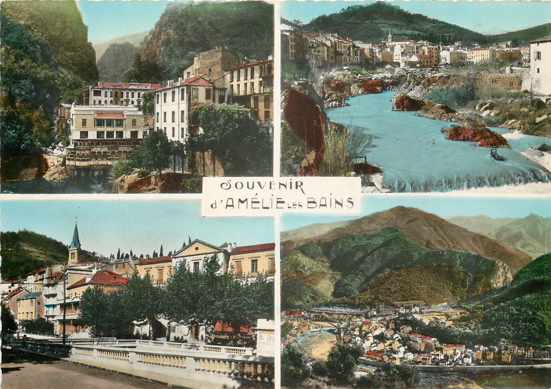 CPM Souvenir d'Amelie les Bains PO 
