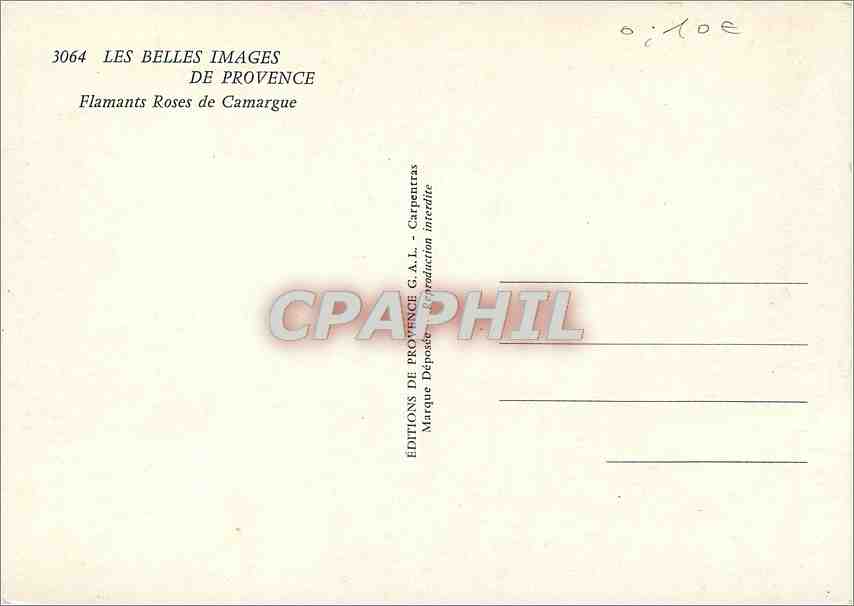 CPM Les Belles Images de Provence Flamants Roses de Camarque  — Rückseite