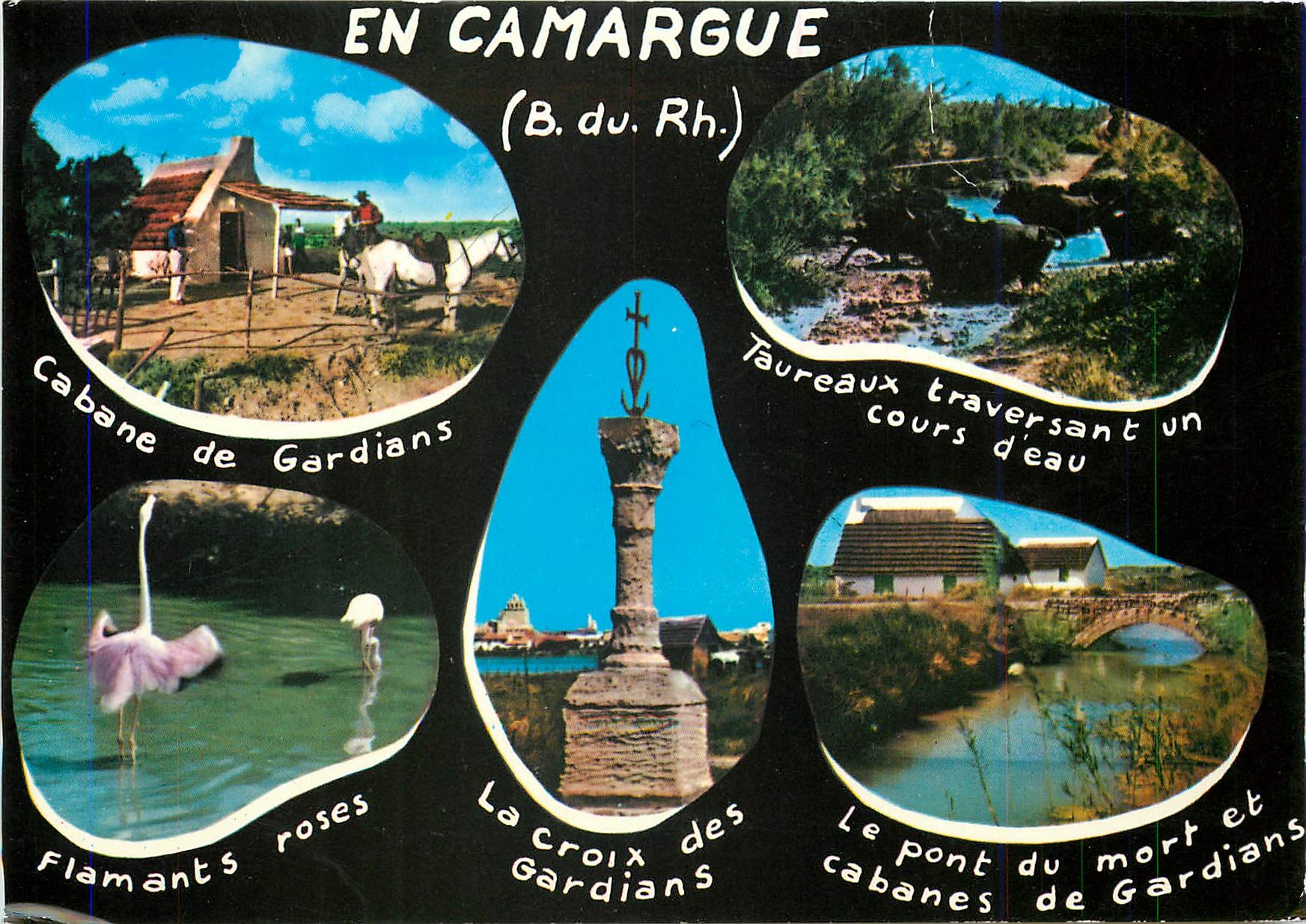CPM En Camargue Bouches du Rhone Cabane de Gardians Taureaux 