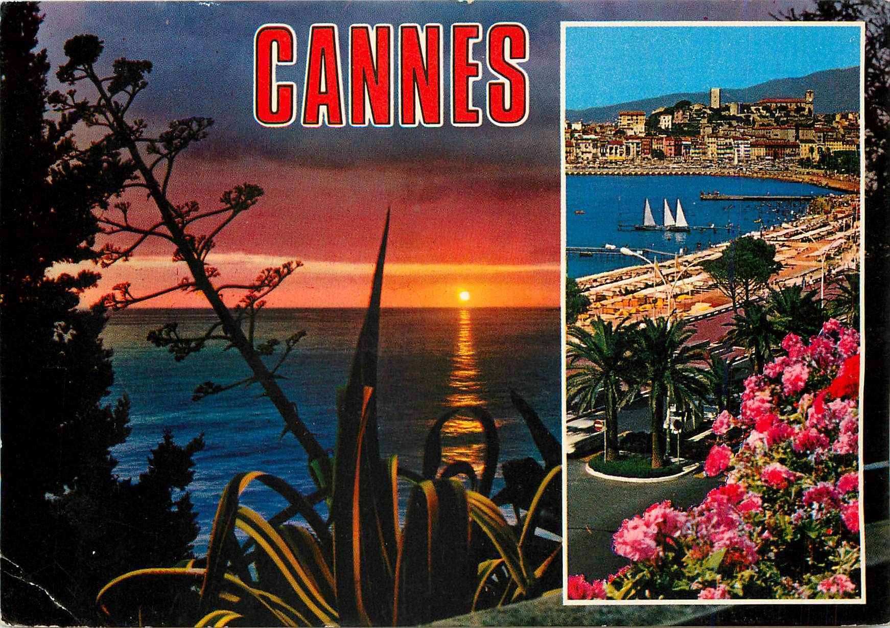 CPM Cannes Alpes Maritimes La Croisette Au fond le Suquet 