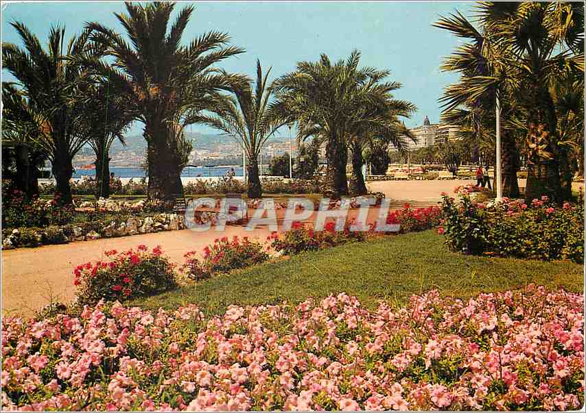 CPM Cannes Une partie des Jardins fleuris de La Croisette 