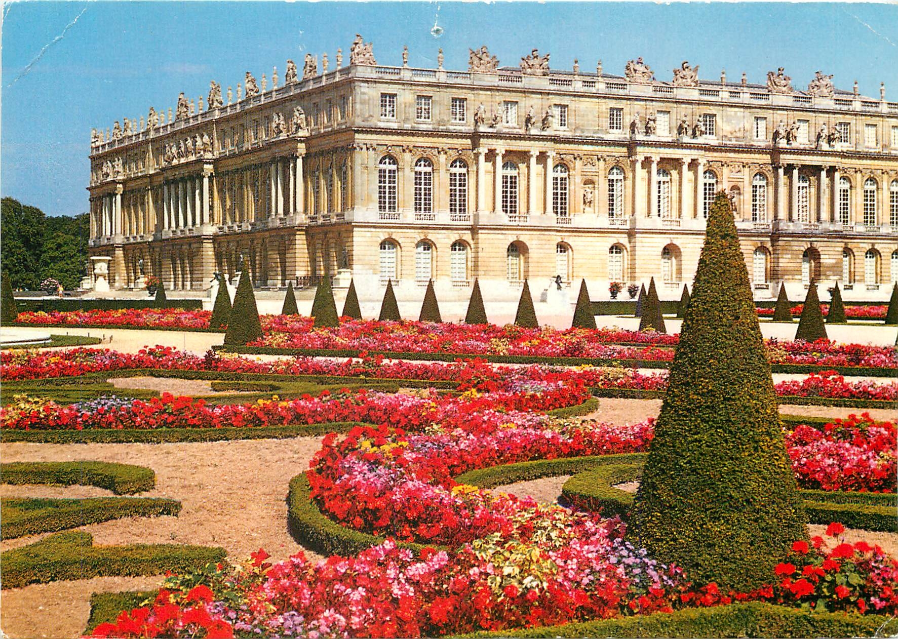 CPM Versailles Le Chateau le Parterre du Sud 