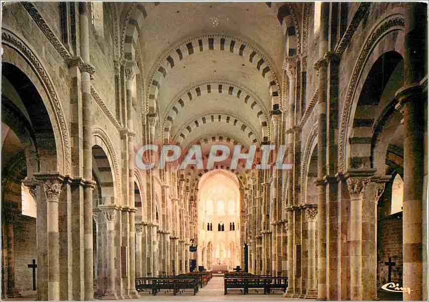 CPM Vezelay Yonne Basilique de la Madeleine La Nef romane 