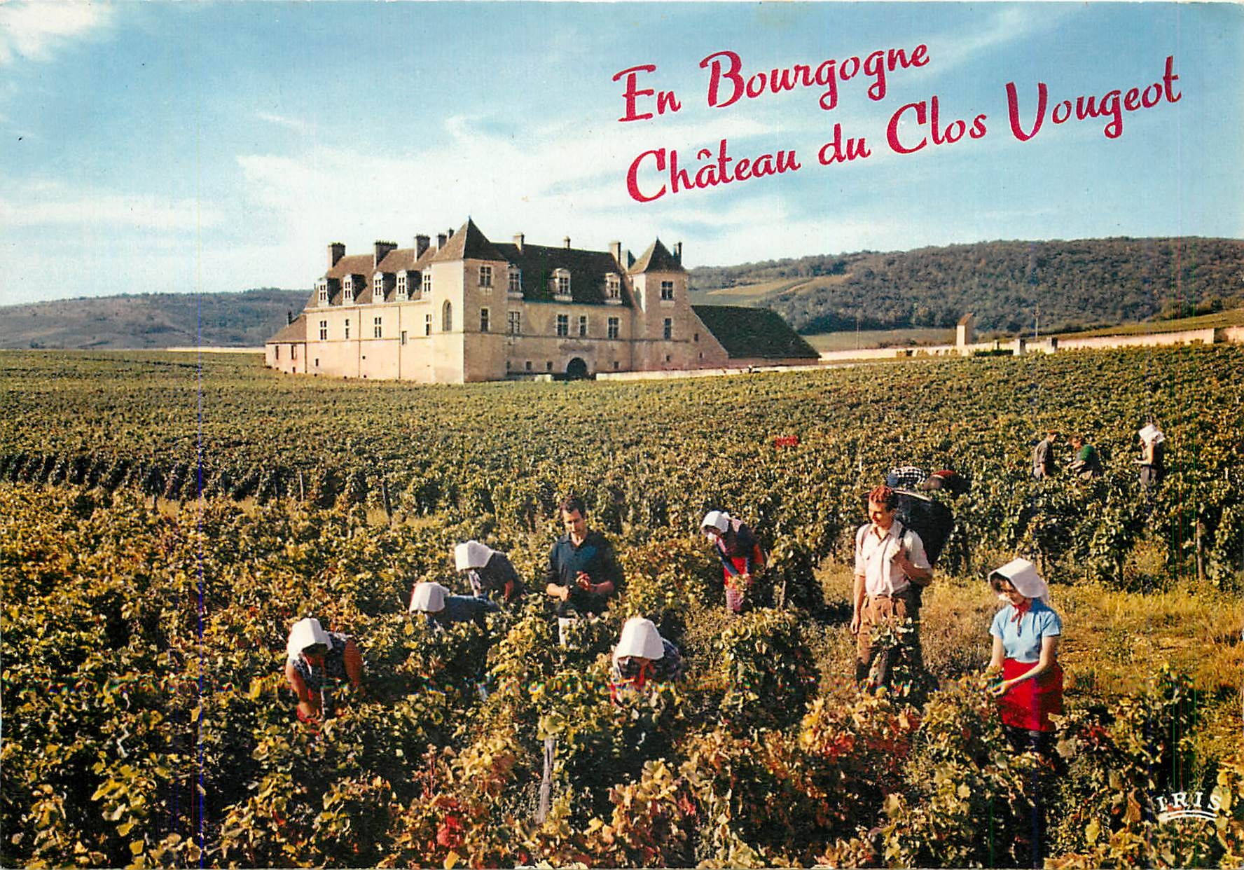 CPM En Bourgogne Chateau du Clos Vougeot Scenes de vendanges des grands crus du Clos Veugeot