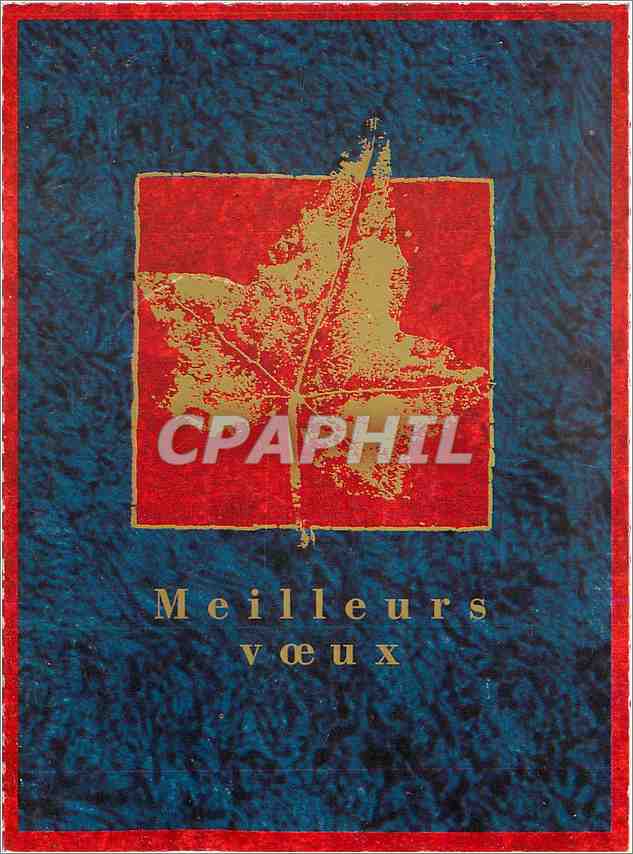 CPM Meilleurs Voeux 