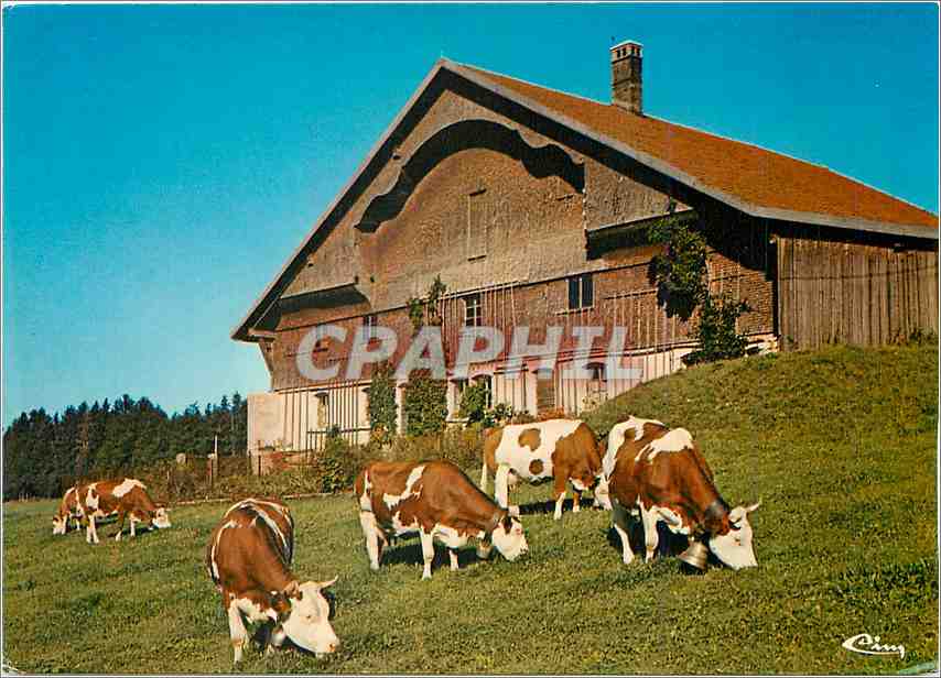 CPM Vieille Ferme Franc Comtoise du Chauffaud 