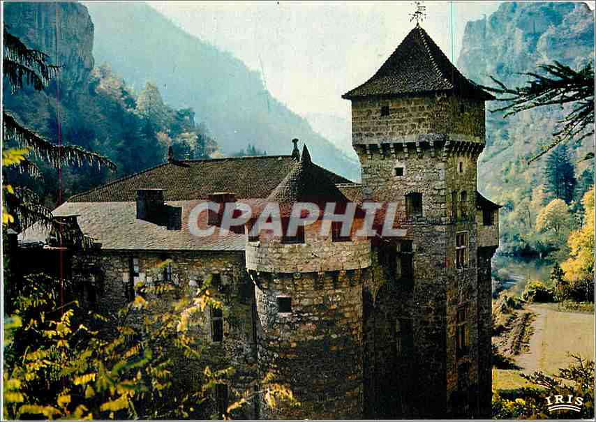 CPM Les Gorges du Tarn Le Chateau de La Caze Manoir Gothique 